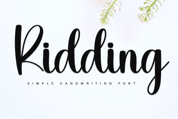 Ridding: A Designer’s Honest Review of This Script Handwritten Typeface